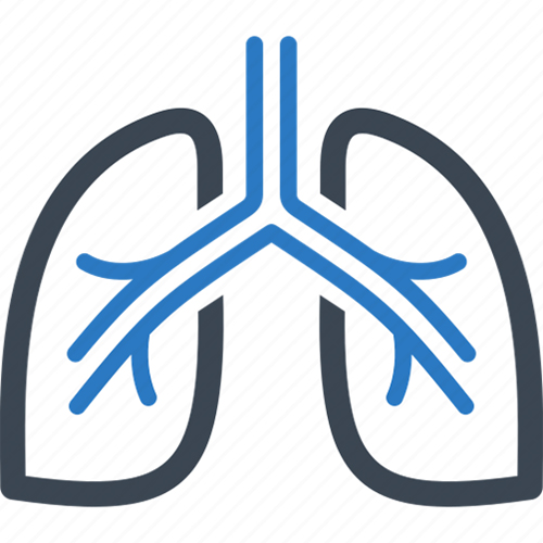 Lungs